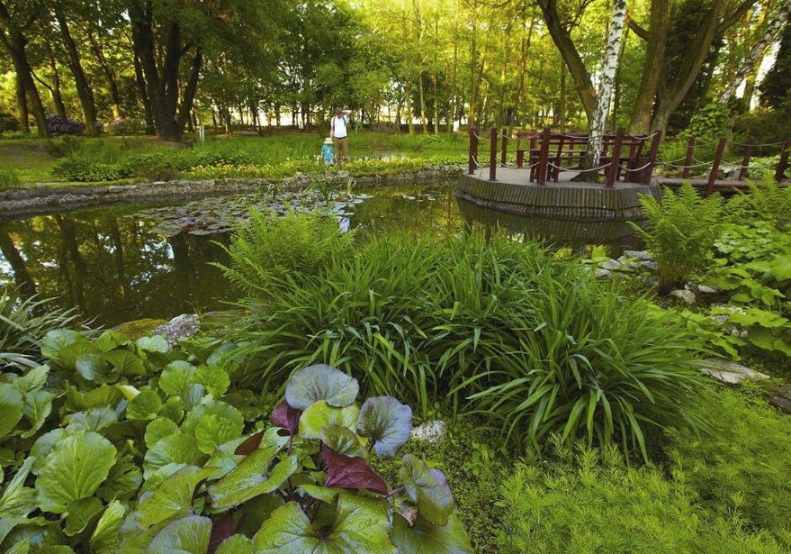 Municipal Botanical Garden, Poland